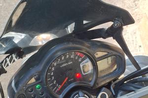 Suzuki sfv650 Gladius 