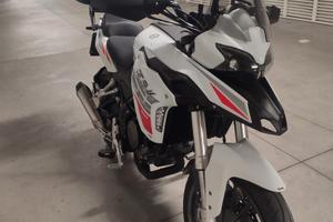 Benelli TRK 251