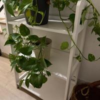 Mobile porta oggetti