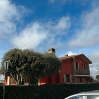 CAMPONOGARA Villa con giardino
