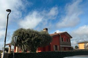 CAMPONOGARA Villa con giardino