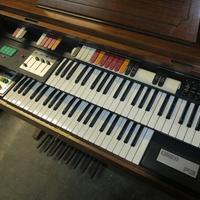 GEM F3 Organo elettronico due tastiere + ritmi