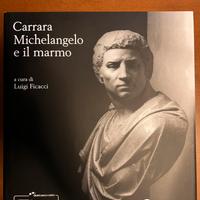 Carrara Michelangelo e il marmo