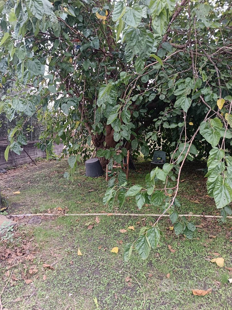 Terreno - Belpasso - Vista 3