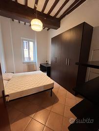 Stanza per studentessa centro perugia