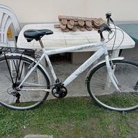 bici da uomo 28 con marce 