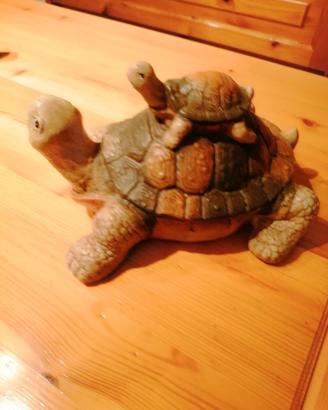 Tartaruga