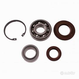 Kit cuscinetti e paraolio Vespa PX 154714