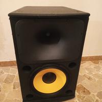 Cassa amplificata 240 watt 2 vie
