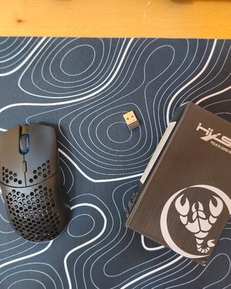 mouse