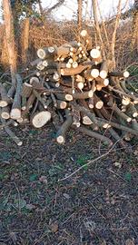 Legna di Acacia e Olmo