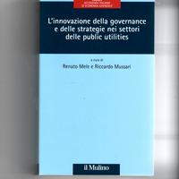 L' innovazione della governance,Il Mulino
