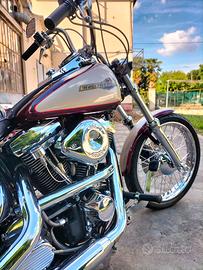 Harley Davidson Softail custom