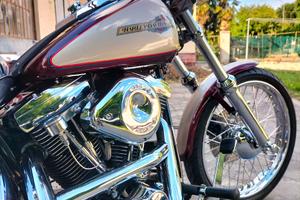 Harley Davidson Softail custom