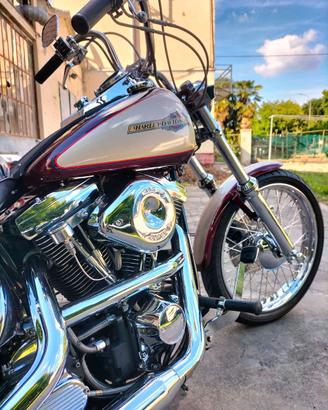 Harley Davidson Softail custom