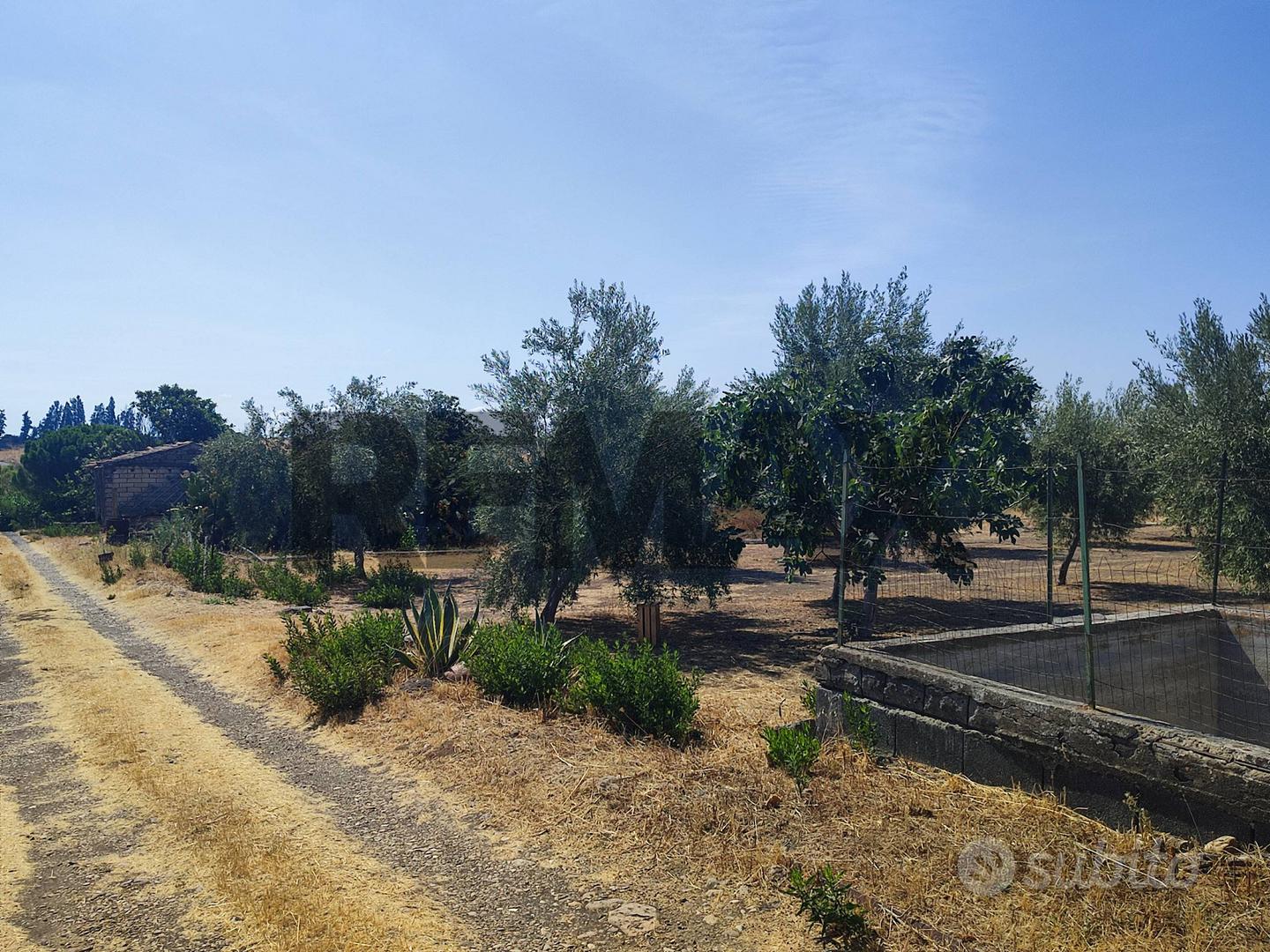 Terreno - Motta Sant'Anastasia - Vista 2