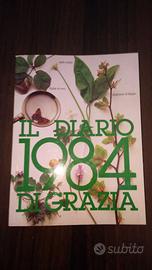 Il Diario di Grazia 1984