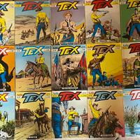 Lotto Tex 31 numeri (anche maxi e best-seller)