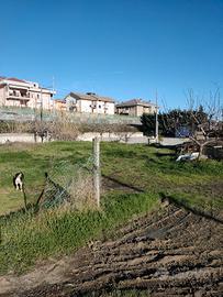 Terreno di mq. 730