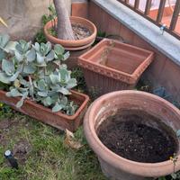 4 vasi in terracotta