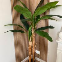 Pianta banano artificiale