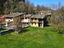 Immagine 11