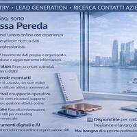 Professionista ONLINE SMARTWORKING
