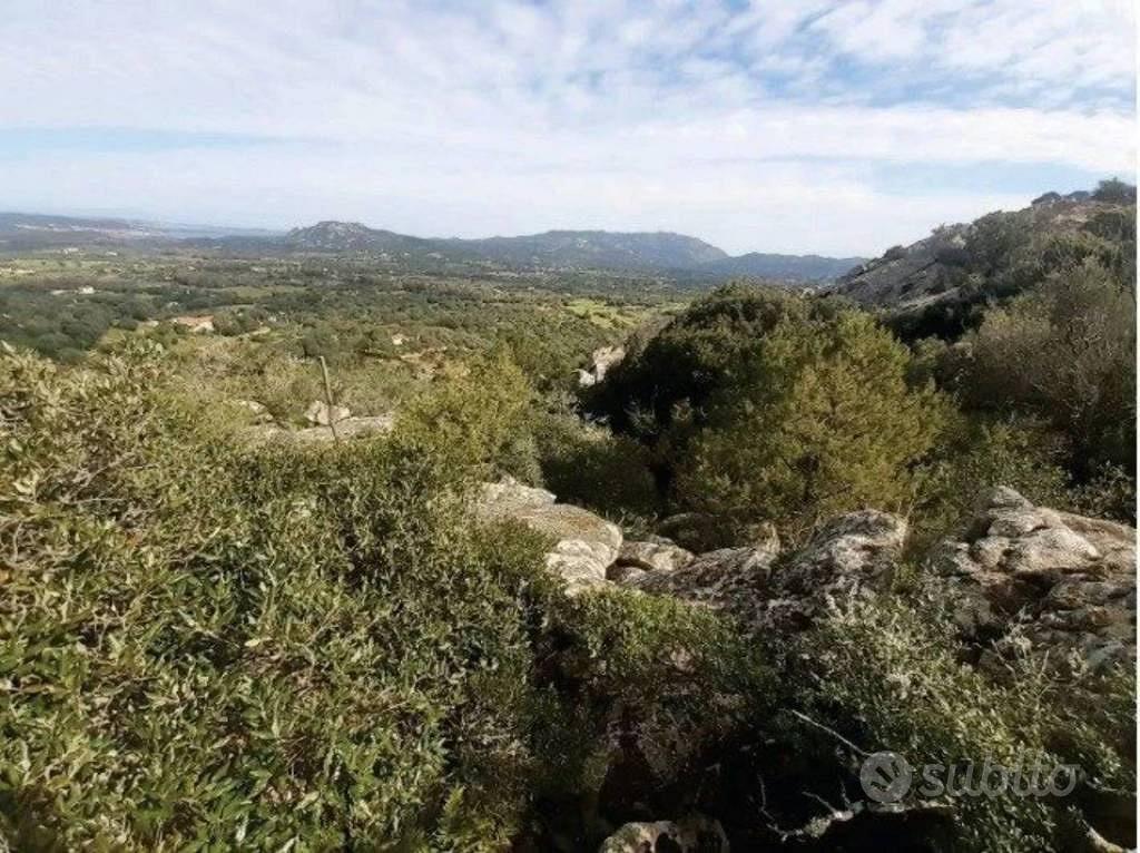 Immobile in asta di 12561 m² a Arzachena - Vista 5