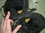 Immagine 4