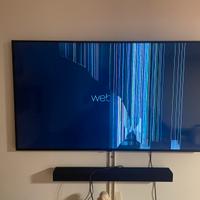 Televisore lg 55 pollici display rotto