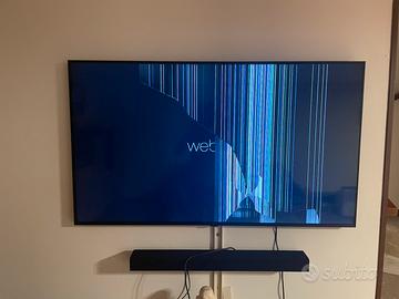 Televisore lg 55 pollici display rotto