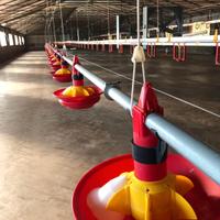 Mangiatoie per tacchini