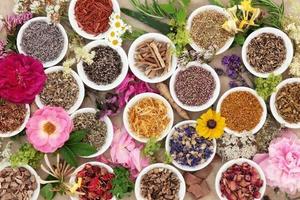 ASTI CENTRO ERBORISTERIA