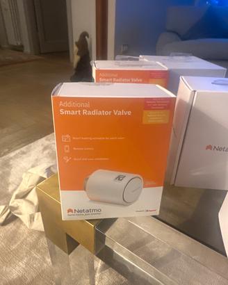 Netatmo Valvola Termostatica Wifi