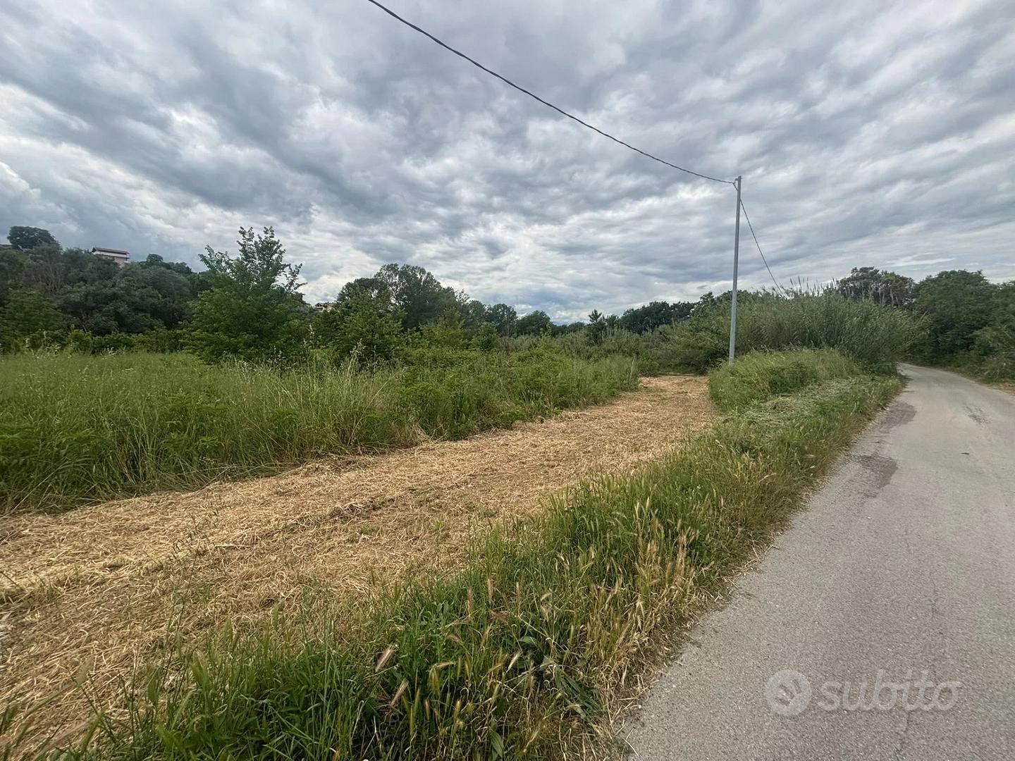 TERRENO AGRICOLO - Vista 5
