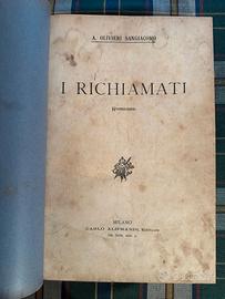 I richiamati il romanzo contro la guerra dell'800