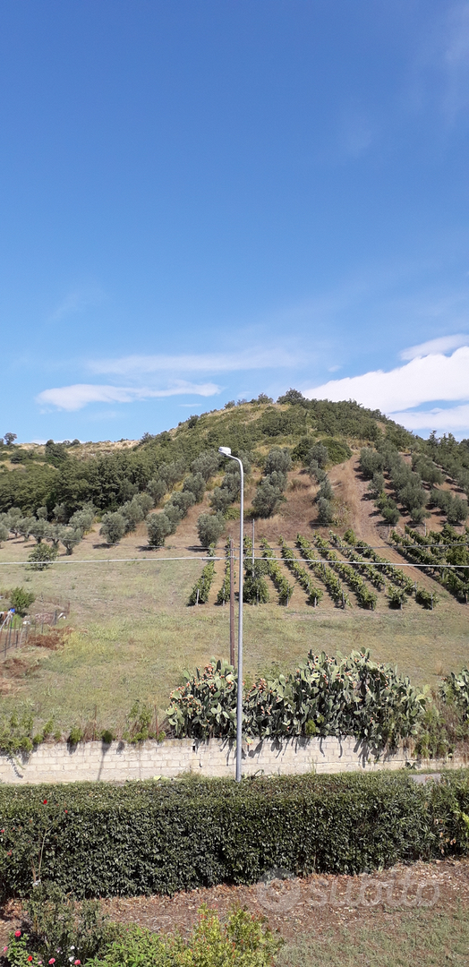 Terreno mongrassano scalo - Vista 4