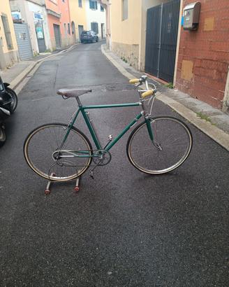 Zenith bici