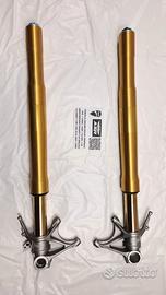 FORCELLE OHLINS DUCATI PANIGALE V4S V4SP2 1299S V4