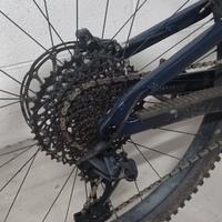 Mtb taglia L carbon