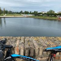 MTB Torpado Uranus 29