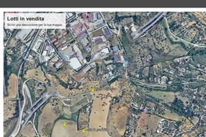 Vendita terreno agricolo