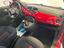 Immagine 11