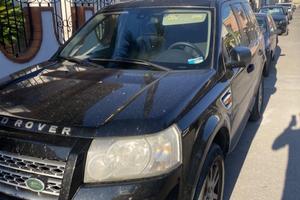 Freelander