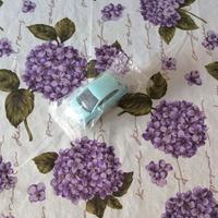 Modellino auto Nuova Fiat 500 incellofanato