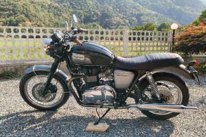 Triumph T100