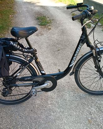 Bici elettrica