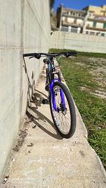 bici mtb