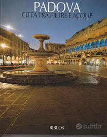 Padova città tra pietre a acque