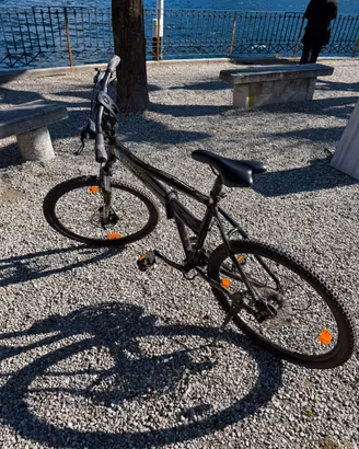 Bici pieghevole Dahon D24